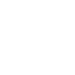 Nicegene Technologies